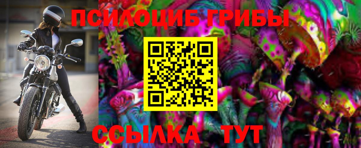 Псилоцибиновые грибы прущие грибы  Вход с VPN  Галлюциногенные грибы Psilocybine cubensis  Ефремов 